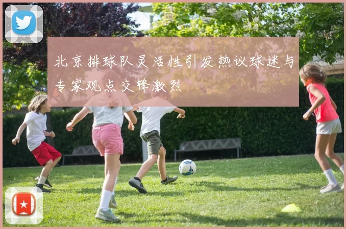 北京排球队灵活性引发热议球迷与专家观点交锋激烈