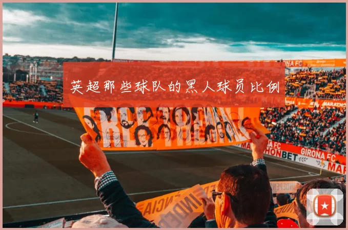 英超那些球队的黑人球员比例