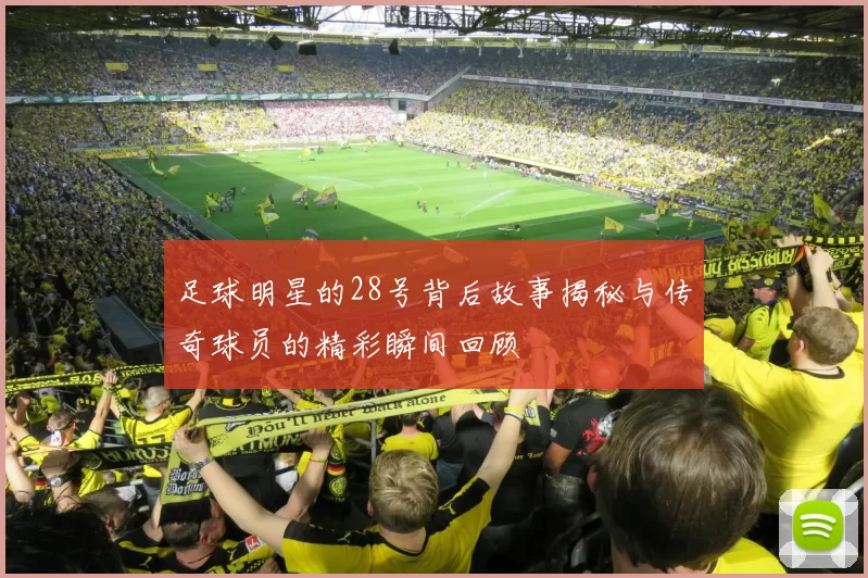 足球明星的28号背后故事揭秘与传奇球员的精彩瞬间回顾