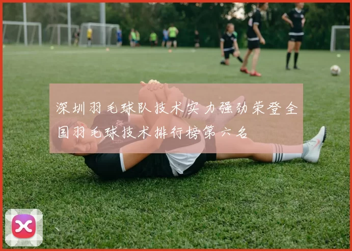 深圳羽毛球队技术实力强劲荣登全国羽毛球技术排行榜第六名