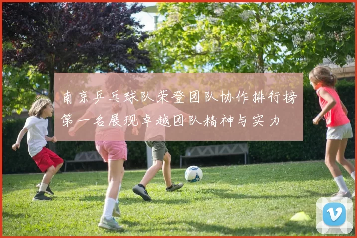 南京乒乓球队荣登团队协作排行榜第一名展现卓越团队精神与实力