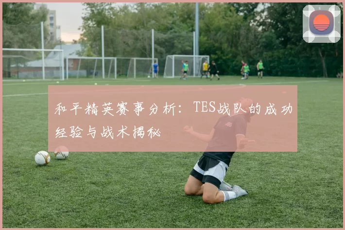 和平精英赛事分析：TES战队的成功经验与战术揭秘