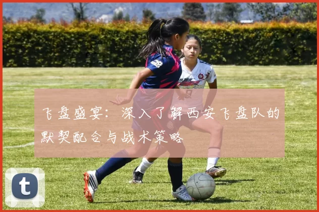 飞盘盛宴：深入了解西安飞盘队的默契配合与战术策略