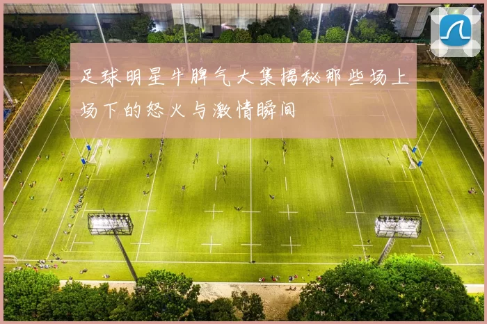 足球明星牛脾气大集揭秘那些场上场下的怒火与激情瞬间