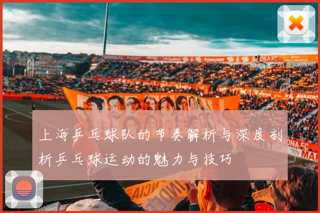 上海乒乓球队的节奏解析与深度剖析乒乓球运动的魅力与技巧