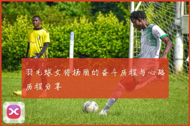 羽毛球女将杨丽的奋斗历程与心路历程分享