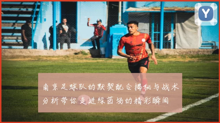 南京足球队的默契配合揭秘与战术分析带你走进绿茵场的精彩瞬间