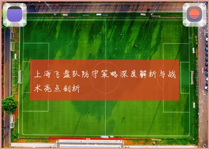 上海飞盘队防守策略深度解析与战术亮点剖析