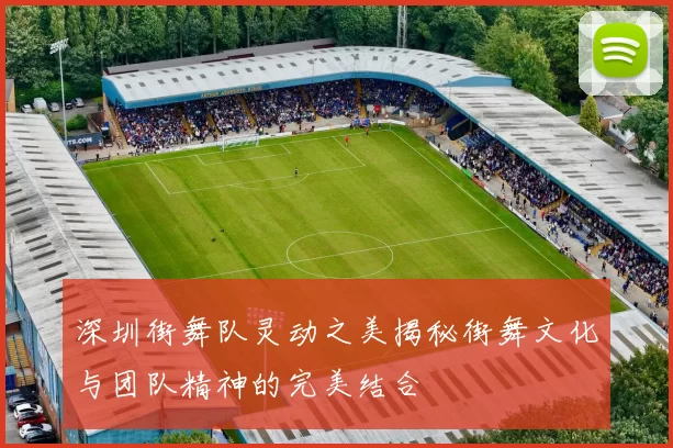 深圳街舞队灵动之美揭秘街舞文化与团队精神的完美结合