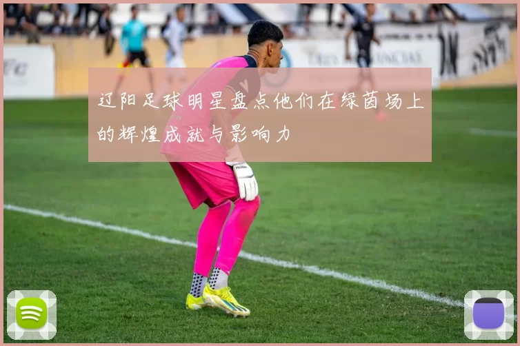 辽阳足球明星盘点他们在绿茵场上的辉煌成就与影响力